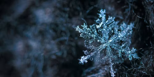 Winter Smells: Perfume-Making Workshop