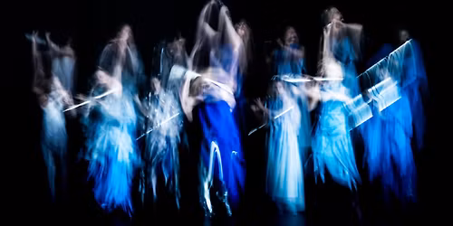 viibra: Venutian Wetland