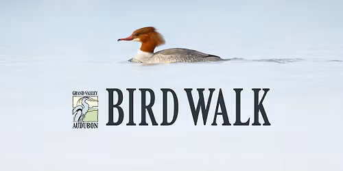 Bird Walk: Duck Day on the Colorado River \ud83e\udd86