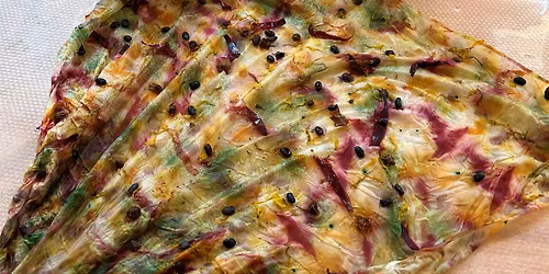 Botanical dyed Silk Scarf Workshop