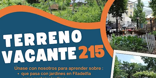 Terreno Vacante 215