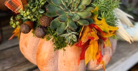 Pumpkin Succulent Make and Take
