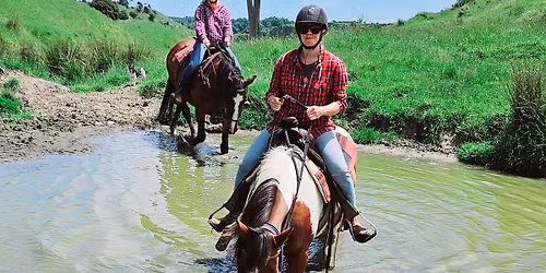 Adult Horse Riding Camp