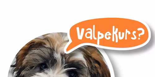 Valpekurs Porsgrunn\/skien Mandager 