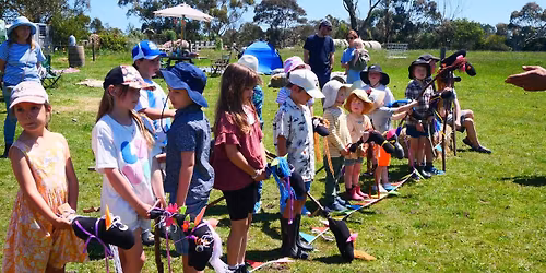 Wattle Bank Cup - Let's Celebrate Horses