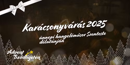 Kar\u00e1csonyv\u00e1r\u00e1s 2025 - \u00fcnnepi hangol\u00f3m\u0171sor