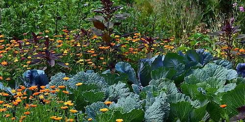 Think Green Thursday: Fall Vegetables