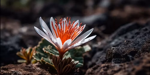 Cercle d'\u00e9coute active du corps