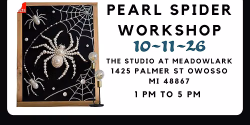 Pearl Spider Workshop 2.0