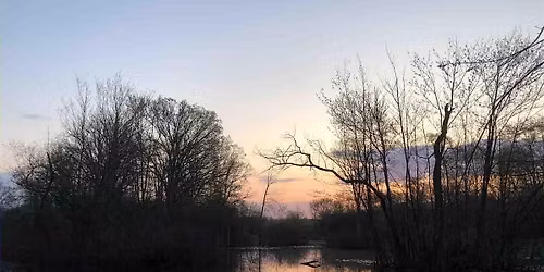 Full Moon Serenade (Beaver Moon)