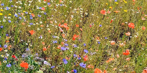 Arthur's Seat Fitness