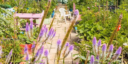 Birmingham Open Garden and Plant Sales