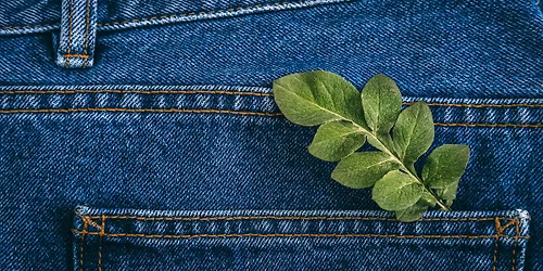 Sustainable style workshop