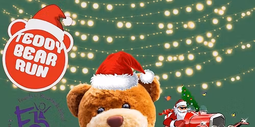 Teddy Bear Winter Run 2025