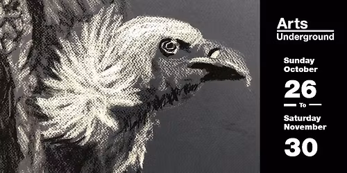 Workshop: Learn to Draw with David Kaarsemaker