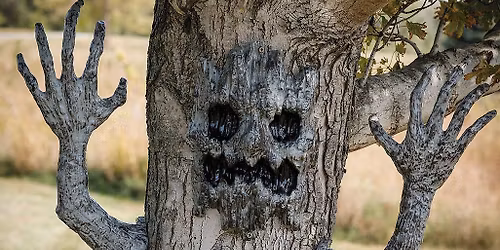 Halloween \ud83c\udf83 auf dem Pflaumenberg