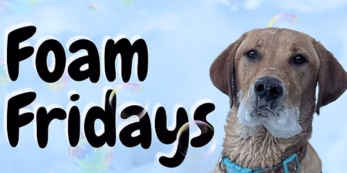 Foam Friday