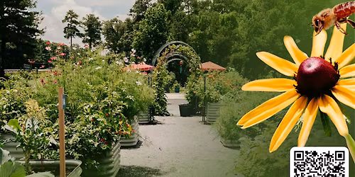 Volunteer Wednesdays in the Garden