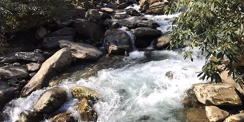 Smoky Mountains Friendly Plein Air Outing