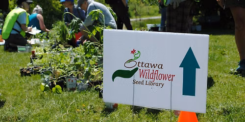 Free Native Plant Giveaway (Springhurst Park)