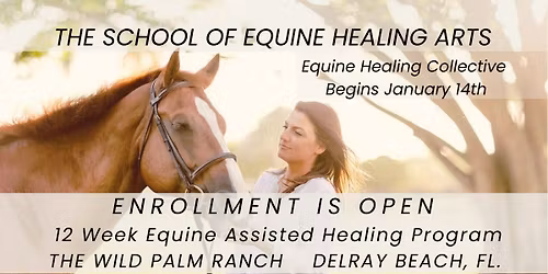 Equine Healing Collective