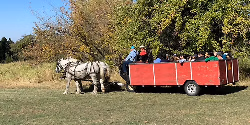 2026 Phillips Farm Fall Festival