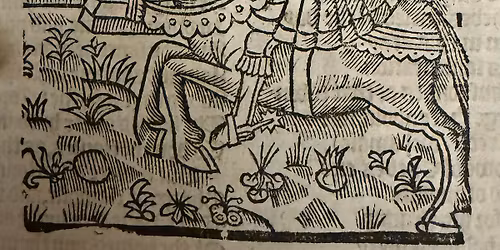 Library & Archives In Focus: Stories and Storytellers