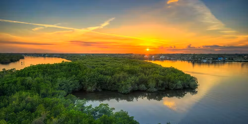 Explore Natural Martin Nature Walk: Stories of the St. Lucie River