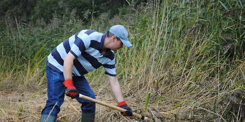 NWT Sweet Briar Marshes: Practical conservation task (Adult event 12 June)