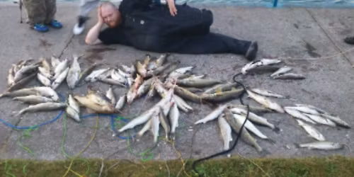 Mike Percha\u2019s memorial 