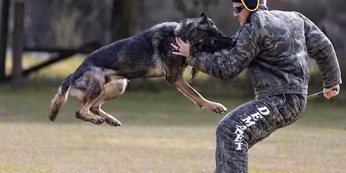 2026 Tampa Bay PSA Club Trial