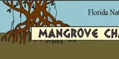 Mangrove Chapter Guided Walk - T Mabry Carlton