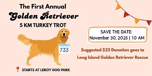 Golden Retriever Post-Thanksgiving 5KM (NYC)