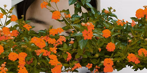 Exploring Intimacy Through Drama