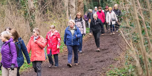 Women's Walking Network: Howe Park Wood