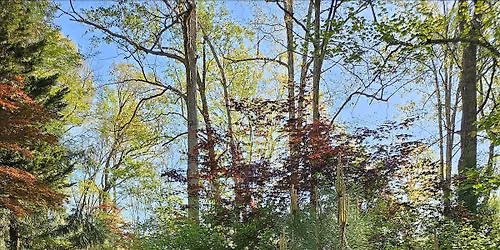 Cox Arboretum & Gardens