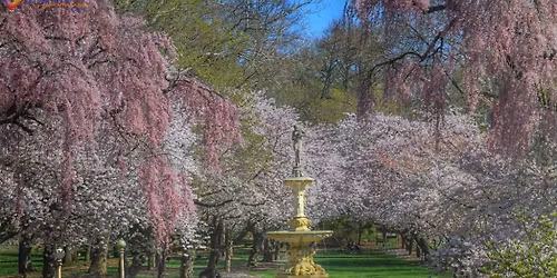 Parking 1776 - The Musical - Wilmington