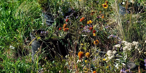 Speaker  Series - Plant rescue and Species Diversity