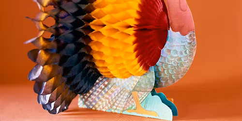 THANKSGIVING DANCE with MON KREWE CAJUN BAND