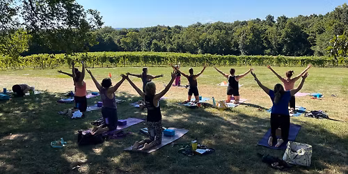 Barefoot in the Vineyards