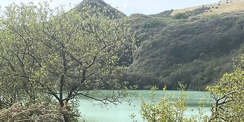 Walk Talk Kernow - Wheal Martyn Clay Stroll