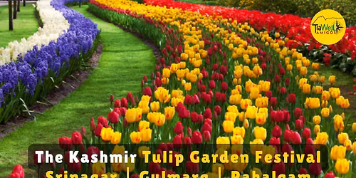 TraWell Amigos:: Tulip Garden Special and Srinagar Tour 2026