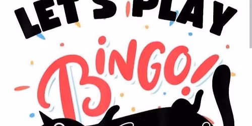 Bingo in the cat lounge