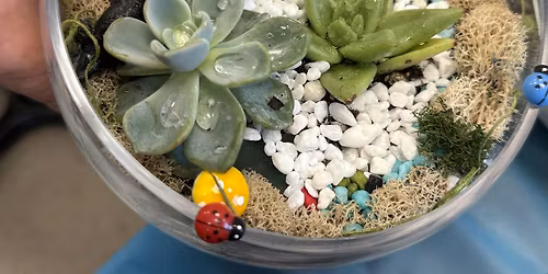 Gnome Terrarium Time