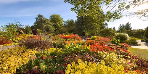 Planting a Four Season Cutting Garden