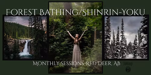 Monthly Forest Bathing\/July-Red Deer