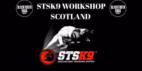 SCOTLAND STSK9 WORKSHOP 