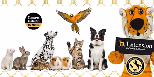 Advanced Animal Cruelty Investigator @Columbia, MO 