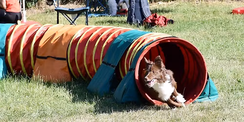 Klubov\u00e9 neofici\u00e1ln\u00ed :-) z\u00e1vody Ro\u017enov pod Radho\u0161t\u011bm 4.4.2026 