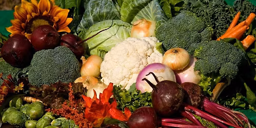 Vegetable Gardening with a Master Gardener (Garden Tour\/Class)